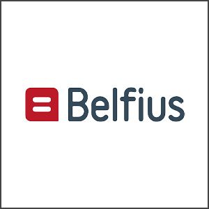 TONEART-Shop Mollie Belfius Belgien